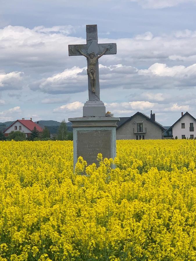 Villa Dom Na Wzgorzu Polanica-Zdrój Esterno foto