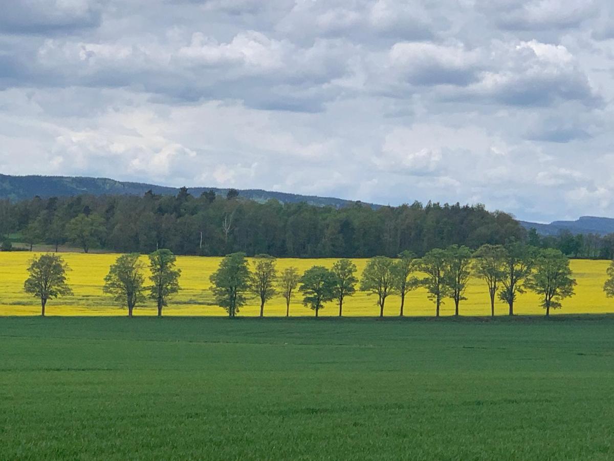 Villa Dom Na Wzgorzu Polanica-Zdrój Esterno foto
