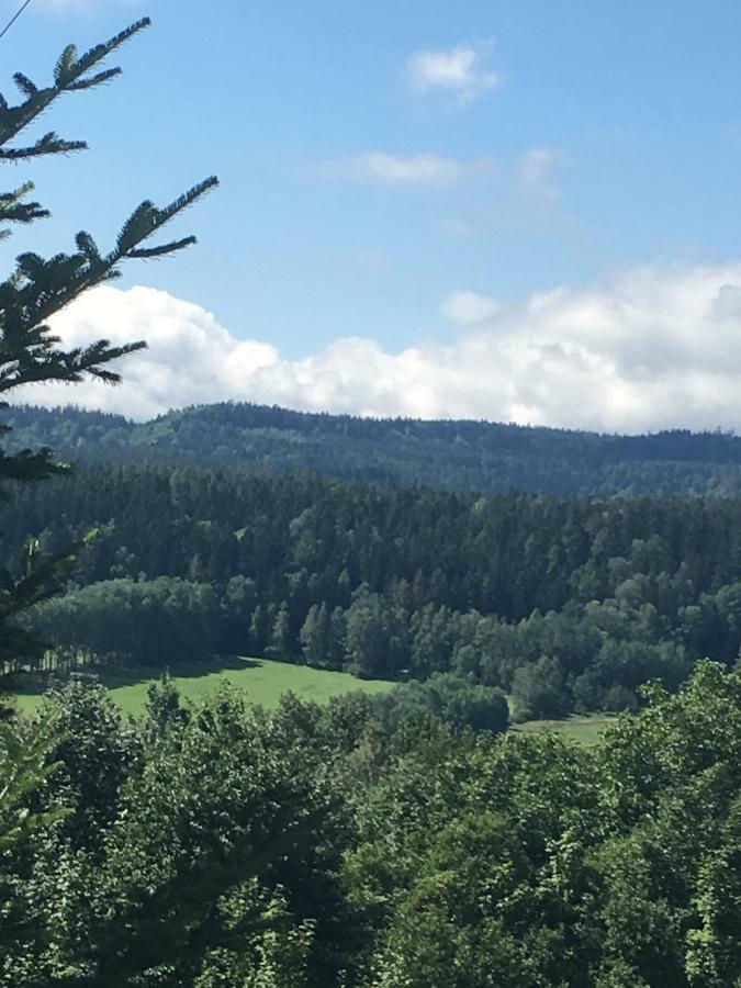 Villa Dom Na Wzgorzu Polanica-Zdrój Esterno foto