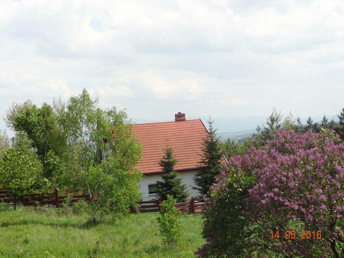 Villa Dom Na Wzgorzu Polanica-Zdrój Esterno foto