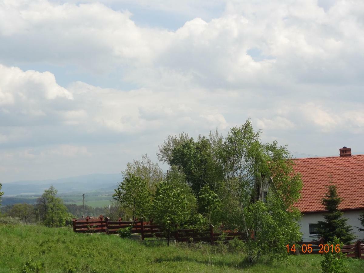 Villa Dom Na Wzgorzu Polanica-Zdrój Esterno foto